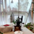 실로모아 이미지