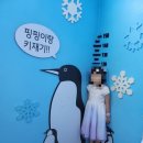 도심속바다풍경 | 서울 도심 속 바다 여행 "L타워 아쿠아리움" 방문 후기