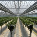 기덕농장 이미지