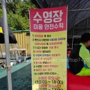 알프스세탁 | 속리산 알프스펜션 수영장 가족여행 숙박 후기