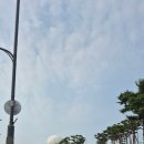집합 | 한국외식업중앙회 식품위생교육 (신규영업자 집합교육) 다녀온 후기