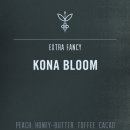 삼선교.성북문화원 버스정류장(08-237) 이미지