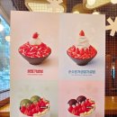 수지과일사랑 | 용인팥빙수 맛집 설빙 맛있게 먹는 꿀팁 딸기요거트설빙 수지구청역 수지점 후기
