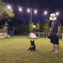 양평 랏지하우스 애견동반펜션 이미지