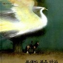 공주깃털 이미지