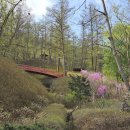 장흥수목원펜션 이미지