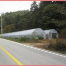 인제04-2 이미지