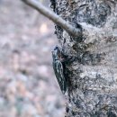 곡성-259 이미지