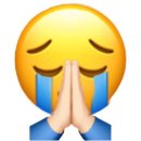 정씨네소몰이