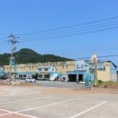 보물섬마늘나라 이미지