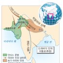 중앙가축인공수정소 | 인더스 문명의 도시 계획과 생활 방식