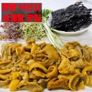 새싹분식 - 동구 월봉6길 39 | 양양 낙산사 맛집 솔직 후기. 해녀가 따온 성게알 전문 '자매분식' 내돈내산 리뷰
