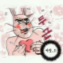 복터진 강아지 | 햄복해요 행.복.