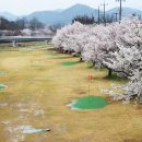 오곡 파크골프장 이미지