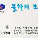 양구살수 이미지