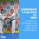 한국체대 비전태권도 이미지