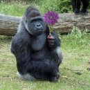 여름을 그리다 | [정관속눈썹펌추천] 속눈썹펌 맛집 ‘결,그리다’ 방문후기