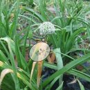 산내들웰빙 이미지