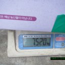 버섯마당 이미지