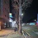 명카워시셀프세차장 | 대전 정림동 명카워시셀프세차장에서 실내 세차한 후기
