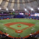 MLB_아메리칸리그_외야뷰 이미지