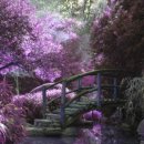 승리당구장 이미지