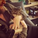 고양이는외계인 이미지