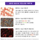 라임피부과 네이버블로그