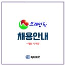 브레인 스포츠 체스 이미지