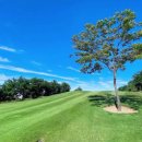 이창우농장 | 중국 연태 최고급 2색 골프여행 (단령CC , 군정 CC)