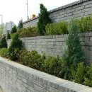 세종파크 이미지