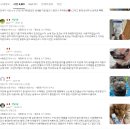덴트해결사 | 보가덴트 덴탈크림 강아지 치약 입냄새제거 애견 치석제거 효소 솔직한 평가들만 모아봤습니다