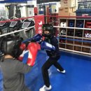 라이노 복싱 GYM 이미지