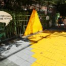 횡단보도옐로카펫 이미지