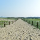사구센터 전시실 이미지