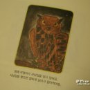 예든아이어린이집 이미지