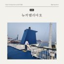 부산항 | "자고 일어나니 후쿠오카?" 뉴카멜리아호 1등석 VS 2등석 리얼 비교 후기 (f.부산항 주차료)