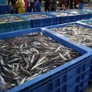 청도공설시장 이미지