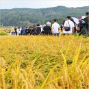 25번가 | 경주여행 신라달빛기행 경주 야경투어 가을여행 추천