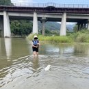 오설기 Daum카페