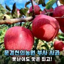 경천유통 | 못난이 사과, 겉모습은 그래도 맛은 최고! 문경 부사 3kg/5kg 후기
