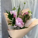 미란꽃방 이미지