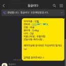 둥글리다 | [내돈내산] 둥글리다 비숑 목욕 위생미용 후기(비숑위생미용/목욕/금액/시설)