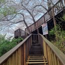 안민고개길 입구 이미지