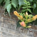 해냄수학학원 - 강서구 공항대로41길 51 | 널 좋아하는 맘이 커졌어 진짜 커 막 공룡만해