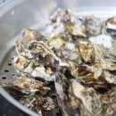 석화 제철 굴 맛집 여수석화 굴찜 레시피 명자수산 석화5kg 여수굴 택배