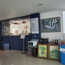 하조대비치하우스 이미지