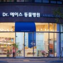 닥터에이스 동물병원 이미지