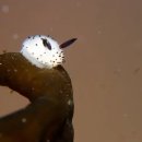 바다PC방 이미지