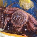 고성수산횟집 이미지